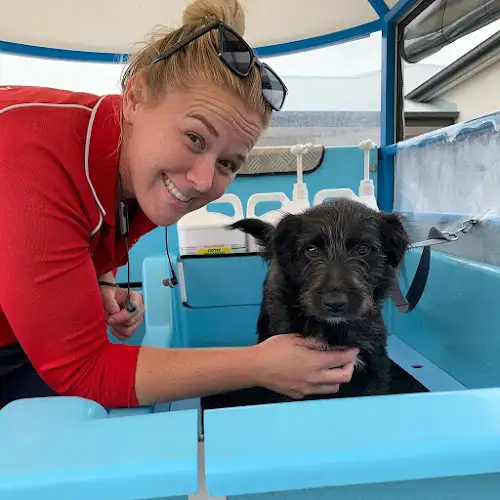 Aussie Pooch Mobile Dog Wash Bushland Beach - Pet Groomer in Cosgrove