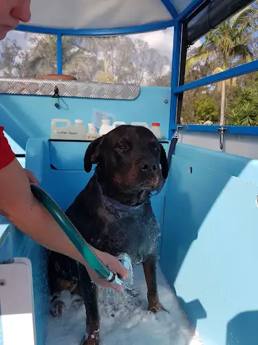 Aussie Pooch Mobile Dog Wash Corinda - Pet Groomer in Branch Creek