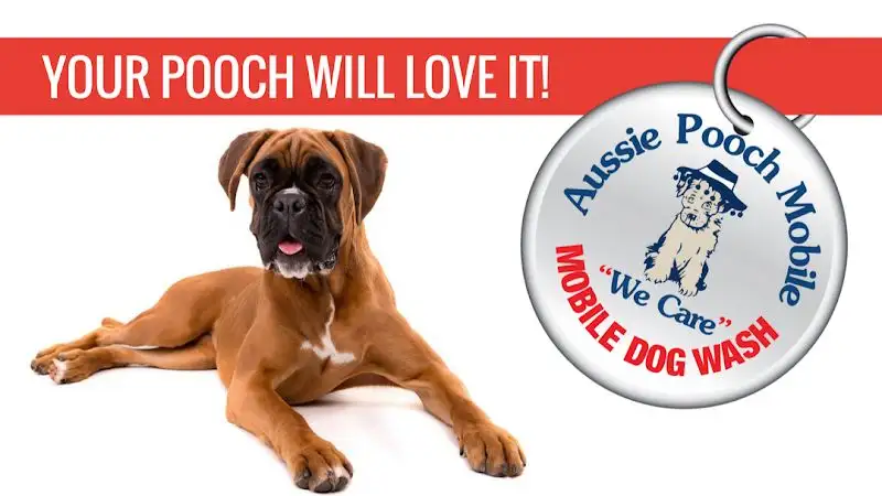 Aussie Pooch Mobile Dog Wash Helensburgh - Pet Groomer in Waterfall