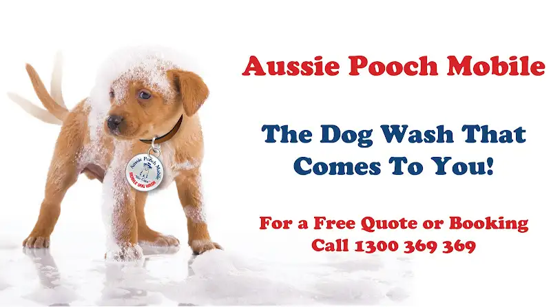 Aussie Pooch Mobile Dog Wash Kelso - Pet Groomer in Condon