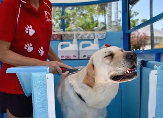 Aussie Pooch Mobile Dog Wash Keperra - Pet Groomer in Bracken Ridge