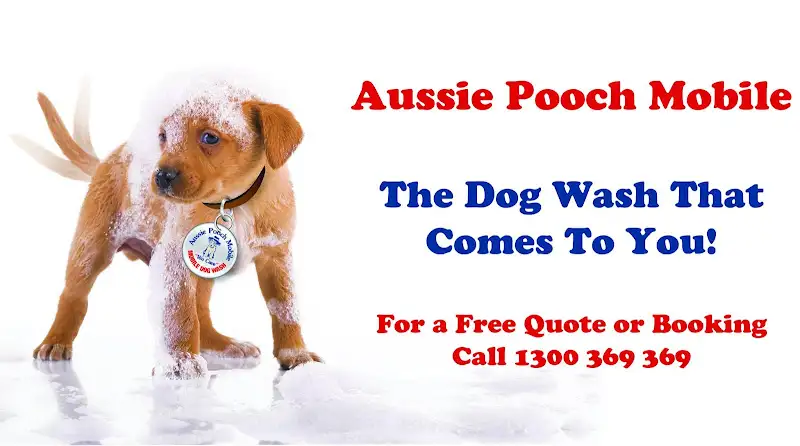 Aussie Pooch Mobile Dog Wash Quakers Hill - Pet Groomer in Annangrove