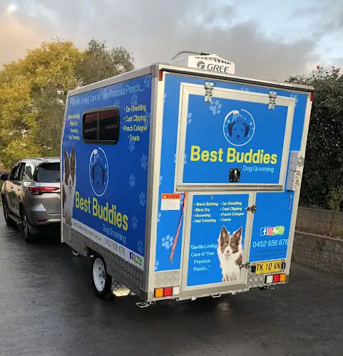 Best Buddies Mobile Dog Wash And Grooming - Pet Groomer in Annangrove