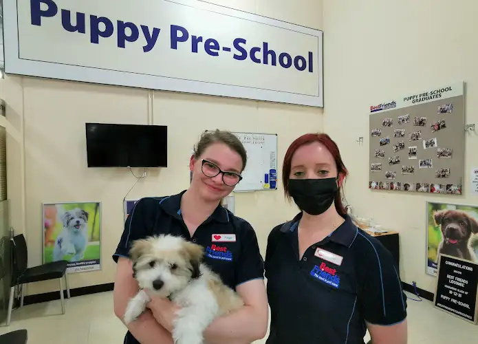 Best Friends Pets Lidcombe - Pet Groomer in Lidcombe