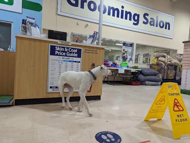 Best Friends Pets Stud Park - Pet Groomer in Rowville