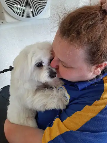Blue Wheelers Bundaberg West - Pet Groomer in Branyan