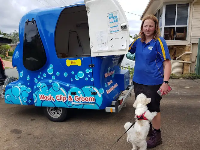Blue Wheelers Lawnton - Pet Groomer in Bray Park