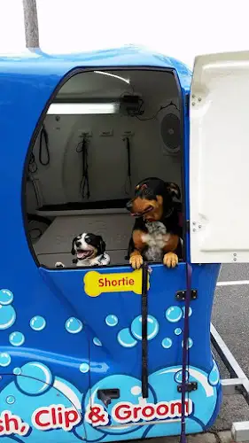 Blue Wheelers South Penrith - Pet Groomer in Emerton