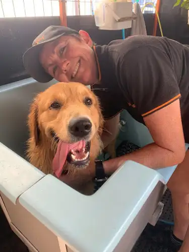 Boop & Blep Mobile Dog Wash And Pet Care - Pet Groomer in Mooloolah Valley
