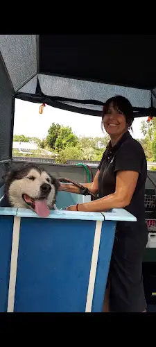 Caboolture Dog Wash - Pet Groomer in Bracalba