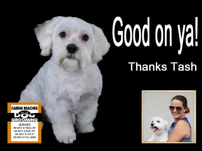 Cairns Beaches Dog Grooming - Pet Groomer in Trinity Park
