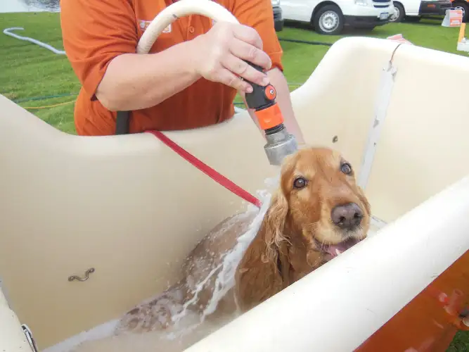 City Farmers Mobile Dog Wash Townsville - Pet Groomer in Brookhill