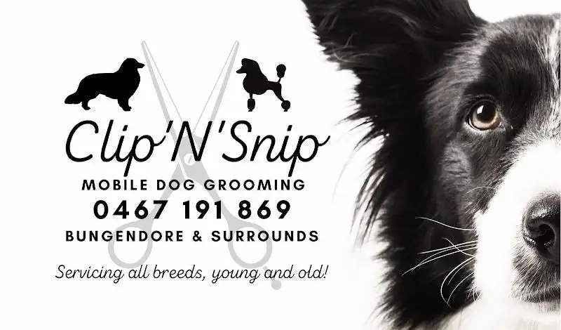 Clip'N'Snip Mobile Dog Grooming - Pet Groomer in Environa