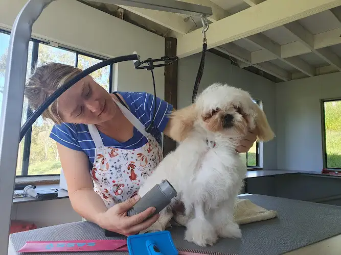 C.O Grooming - Pet Groomer in Karalee