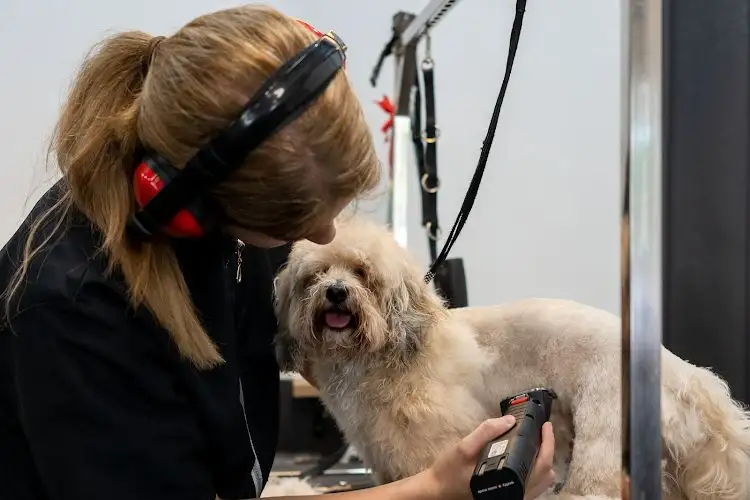 Coco And Co Manuka - Pet Groomer in Griffith