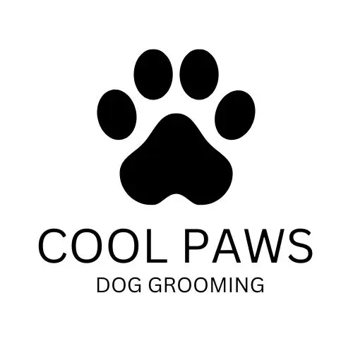 Cool Paws Dog Grooming - Pet Groomer in Bray Park