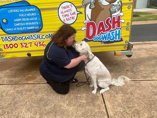 Dash DogWash Point Cook - Pet Groomer in Point Cook
