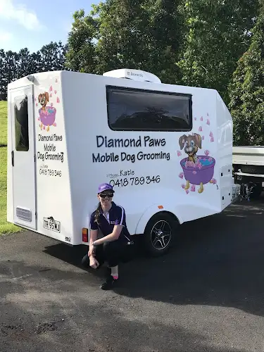 Diamond Paws Mobile Dog Grooming - Pet Groomer in Elsmore