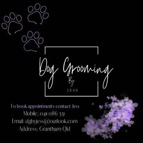Dog Grooming By Jess - Pet Groomer in Grantham