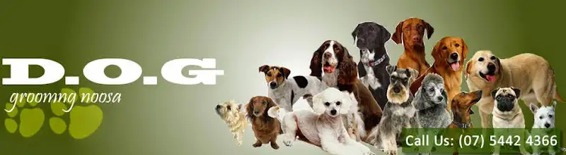 Dog Grooming Noosa - Pet Groomer in Noosaville