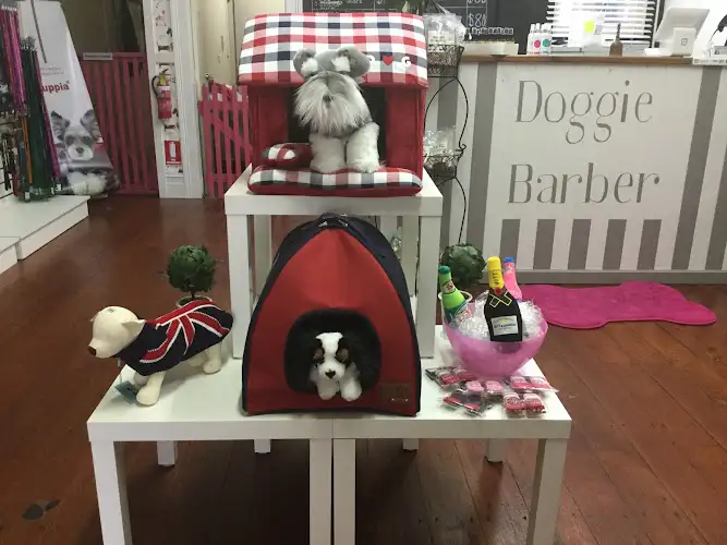 Doggie Barber - Pet Groomer in Moss Vale