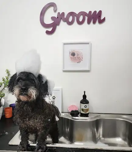 Doggy Stylz Cairns - Pet Groomer in Bungalow