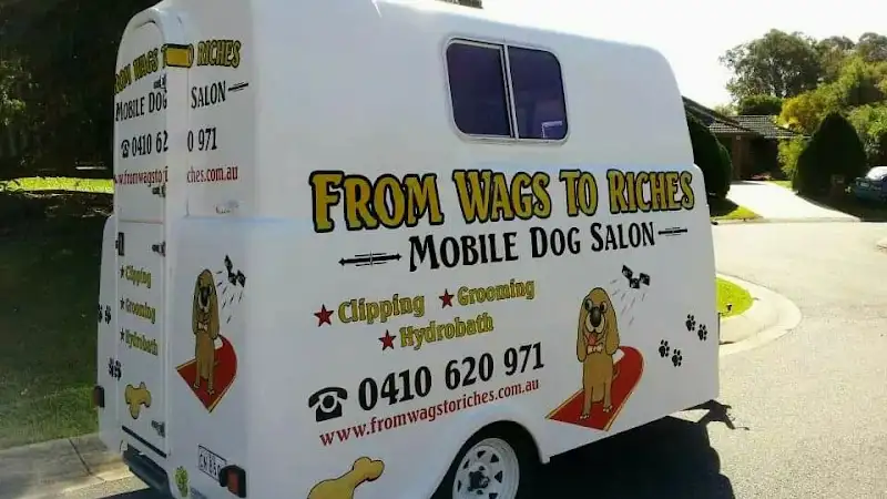 From Wags To Riches, Mobile Dog Grooming Salon - Pet Groomer in Bray Park