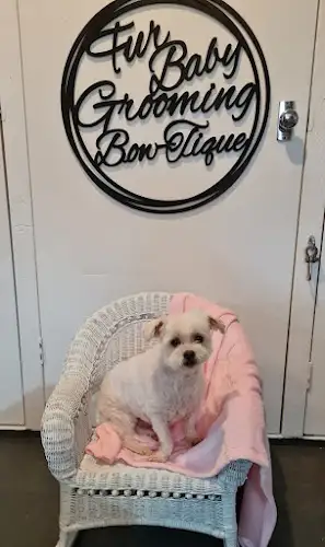 Fur Baby Grooming Bow-Tique - Pet Groomer in Kanahooka