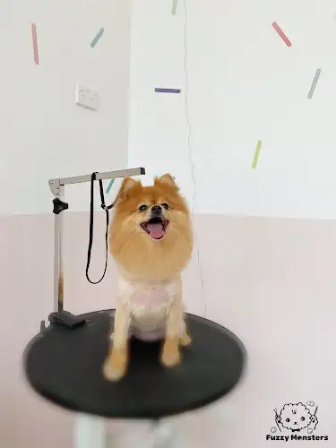 Fuzzy Monsters Pet Boutique & Salon - Pet Groomer in Chippendale
