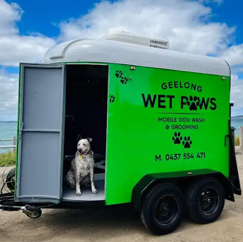 Geelong Wet Paws - Pet Groomer in Barwon