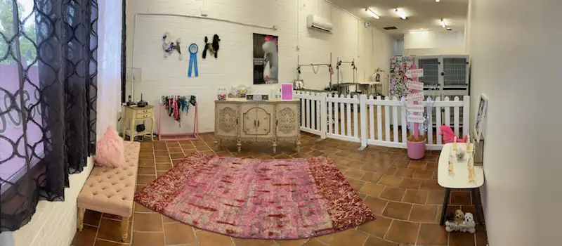 Glamour Dog - Pet Groomer in Colyton