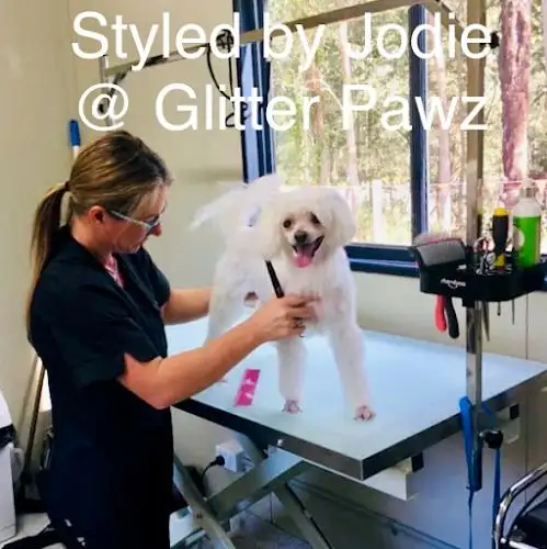 Glitter Pawz - Pet Groomer in Tinbeerwah