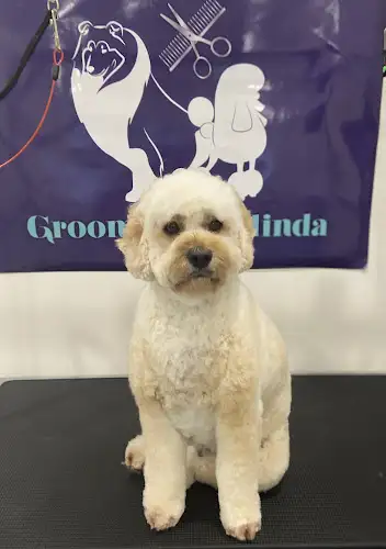 Grooms By Belinda - Pet Groomer in Nowra Hill
