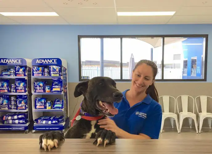 Hanrob Pet Hotels Brisbane - Pet Groomer in Eagle Farm