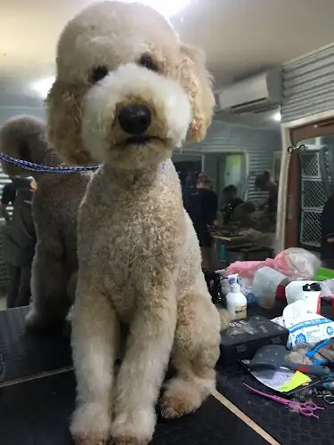 HoundDog Hairdressing - Pet Groomer in Heatley