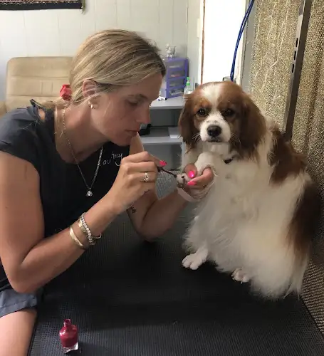 In The Dog House Grooming - Pet Groomer in Yandina