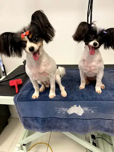 In The Dog House - Pet Groomer in Emu Plains