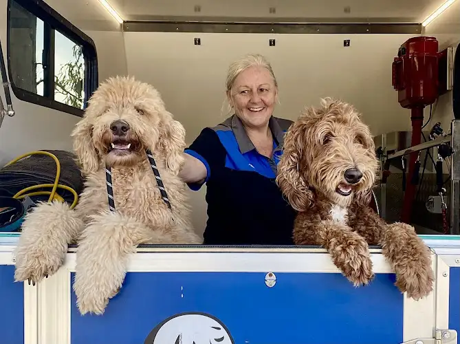 James Home Services - Coolum Beach - Pet Groomer in Lawn Hill