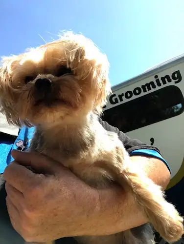 James Home Services Mobile Pet Grooming & Hydrobath Coolum Beach And Surrounds - Pet Groomer in Coolum Beach