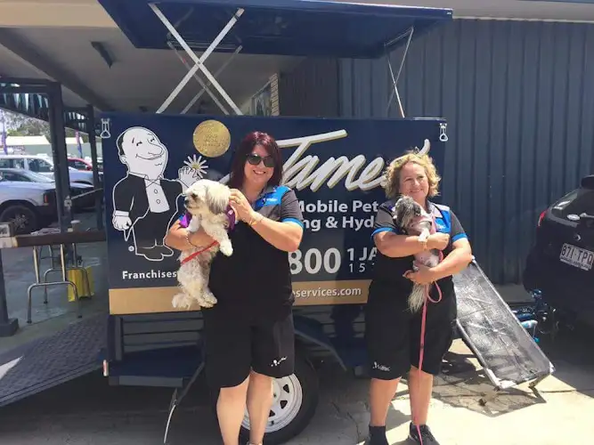 James Home Services - Pet Groomer in Mango Hill