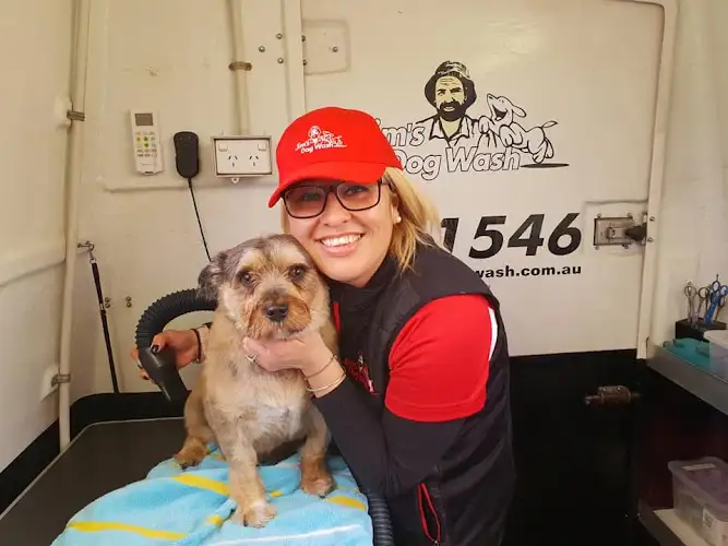 Jim's Dog Wash And Grooming Harrington Park - Pet Groomer in Elizabeth Hills