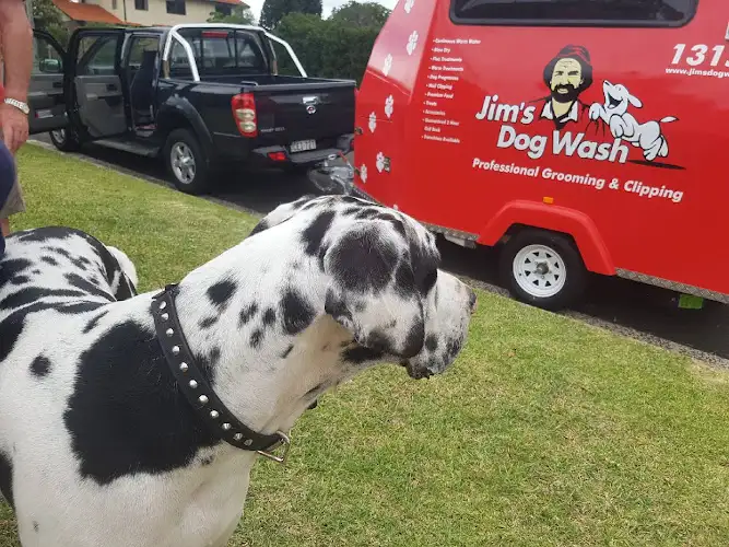 Jim’s Dog Wash And Grooming Shellharbour - Pet Groomer in Dunmore