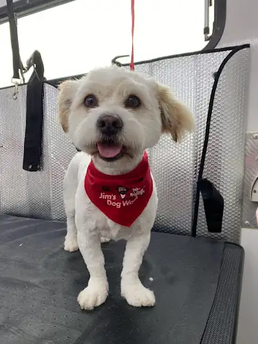 Jim’s Dog Wash And Grooming (Thornlands) - Pet Groomer in Cornubia