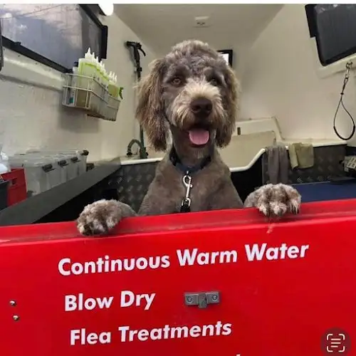 Jim's Dog Wash Chifley - Pet Groomer in Chifley
