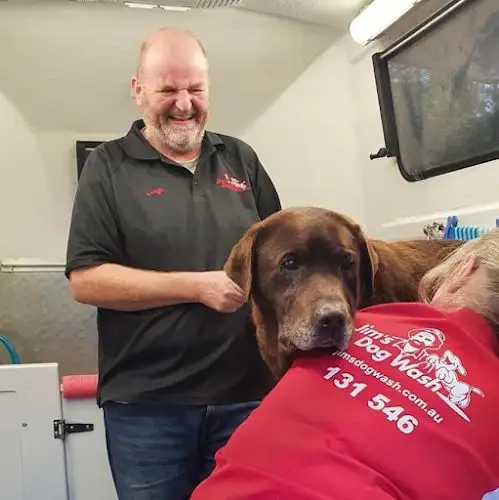 Jim's Dog Wash Dapto - Pet Groomer in Dunmore