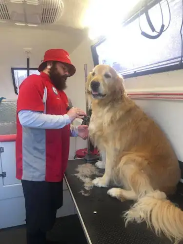 Jim's Dog Wash Dundas Valley - Pet Groomer in Epping
