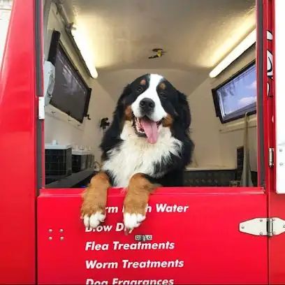 Jim's Dog Wash Fitzgibbon - Pet Groomer in Fitzgibbon