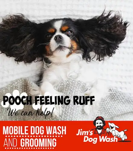 Jim's Dog Wash Moe - Pet Groomer in Traralgon