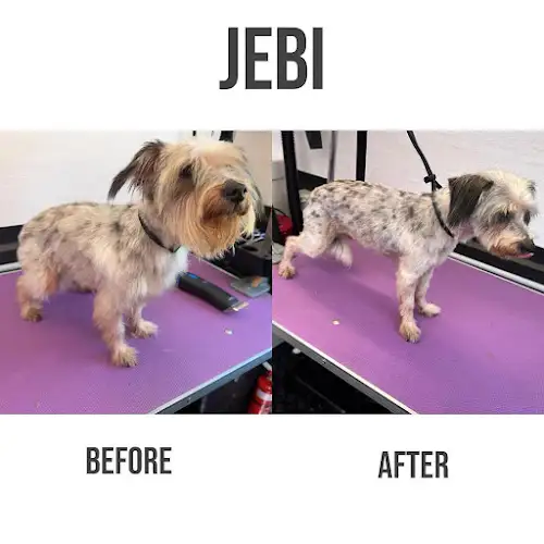 Jim's Dog Wash Moorebank - Pet Groomer in Ashcroft