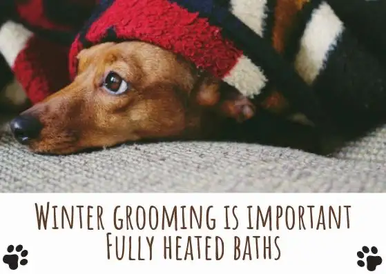 Jim's Dog Wash Nowra Hill - Pet Groomer in Tapitallee